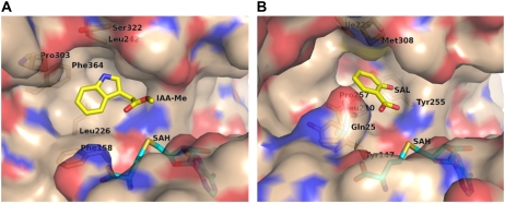 Figure 3.