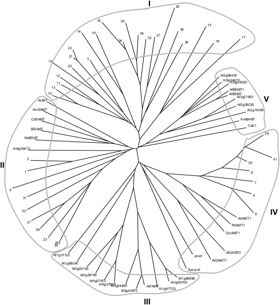 Figure 9.