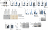 Extended Data Figure 3