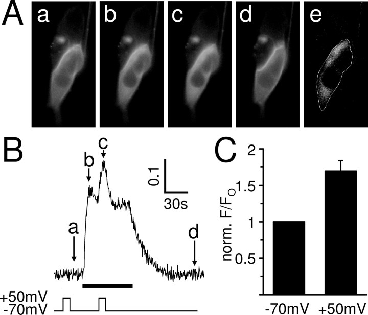 Figure 9.