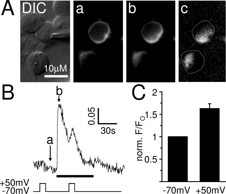 Figure 10.