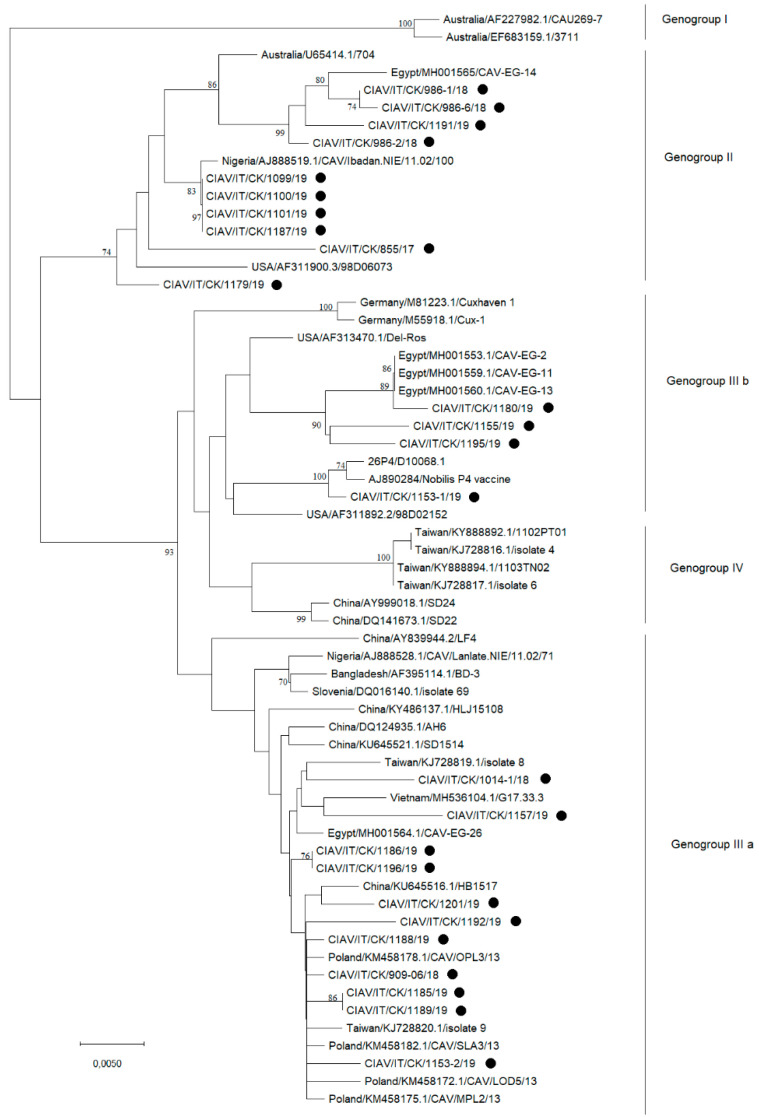 Figure 2