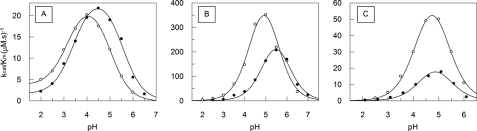 FIGURE 11.