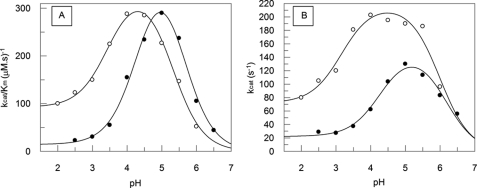 FIGURE 8.