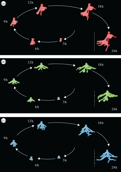 Figure 3.