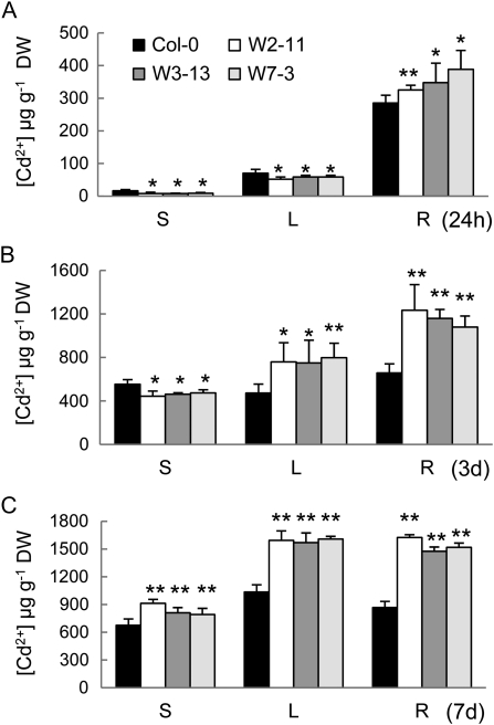 Figure 7.