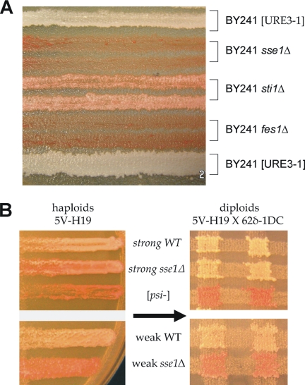 Figure 6.