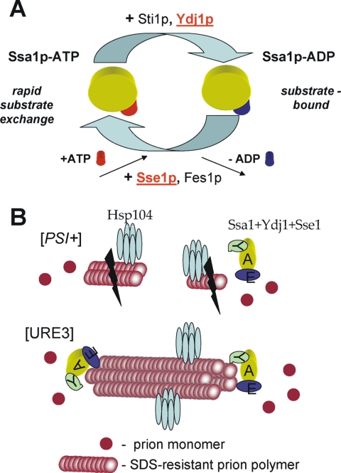 Figure 5.