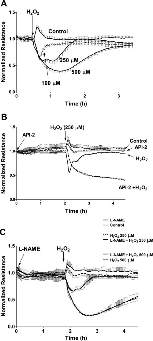 Fig. 6.