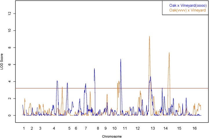 Figure 2 