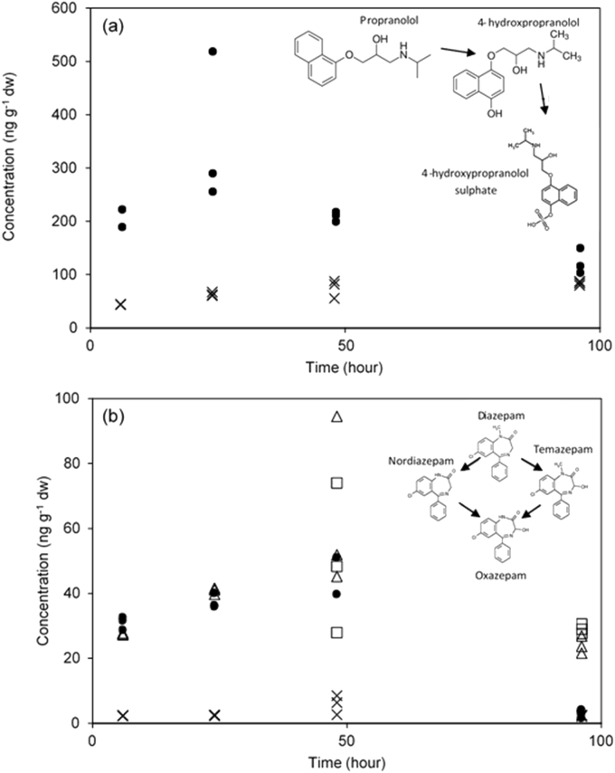 Fig. 4