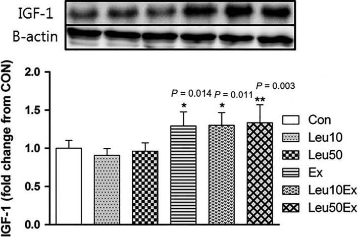 Figure 10