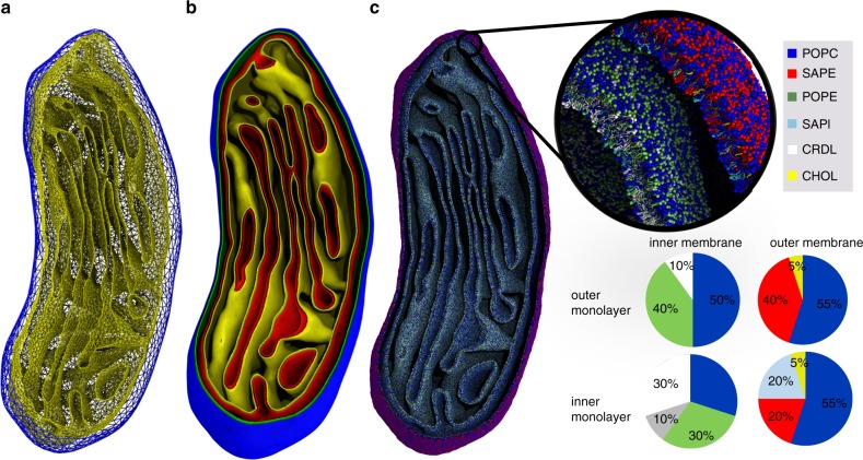 Fig. 5