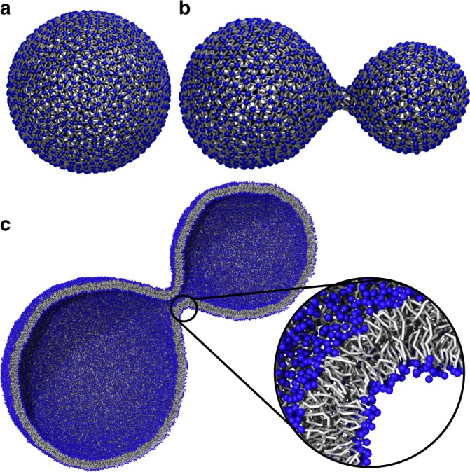 Fig. 3