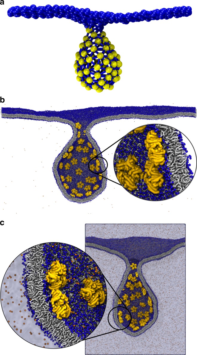 Fig. 4