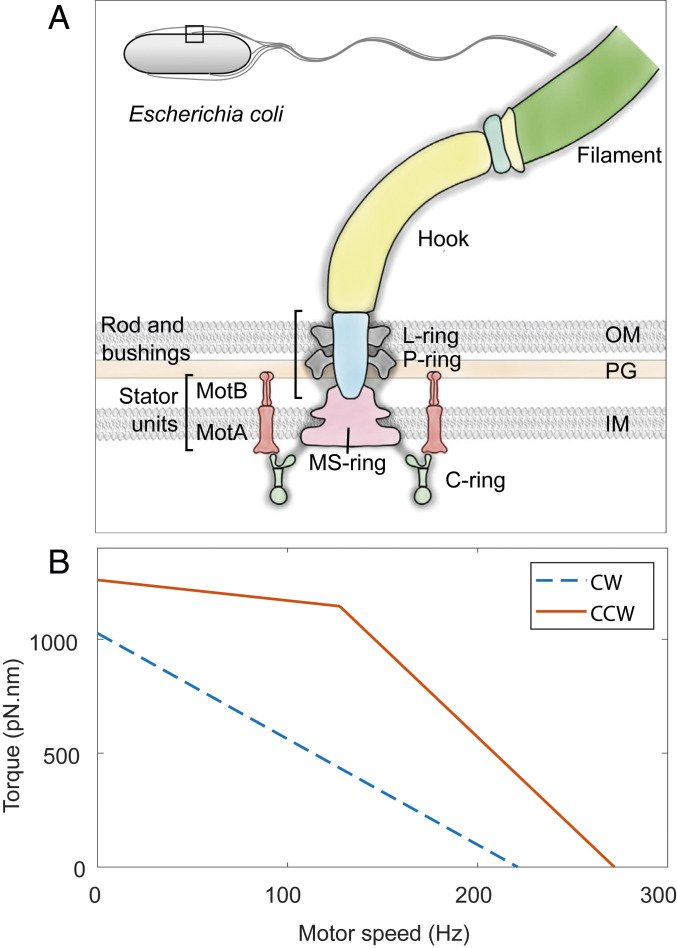 Fig. 1.