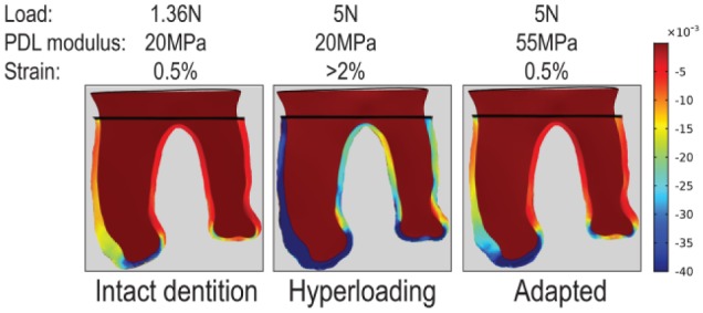 Figure 5.