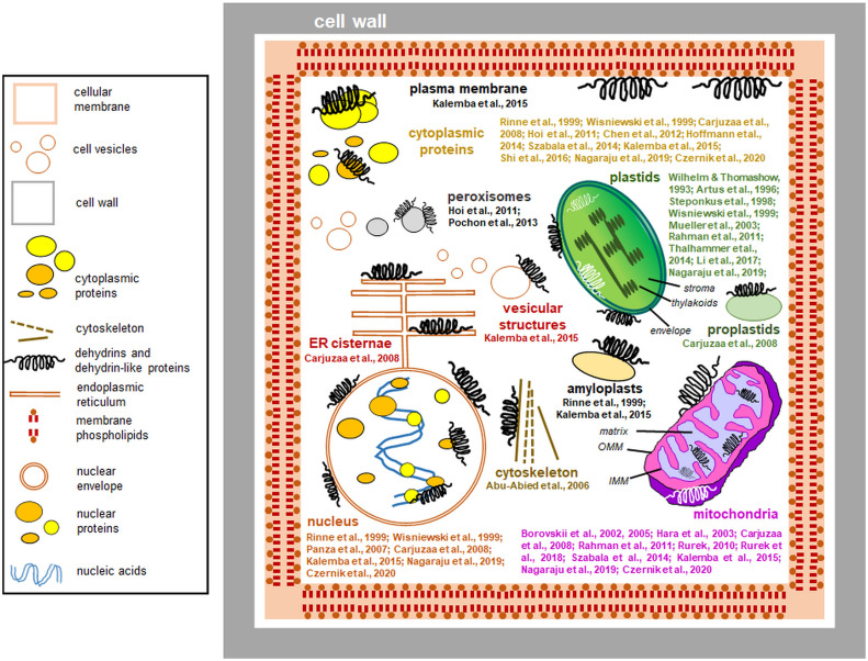 Figure 4