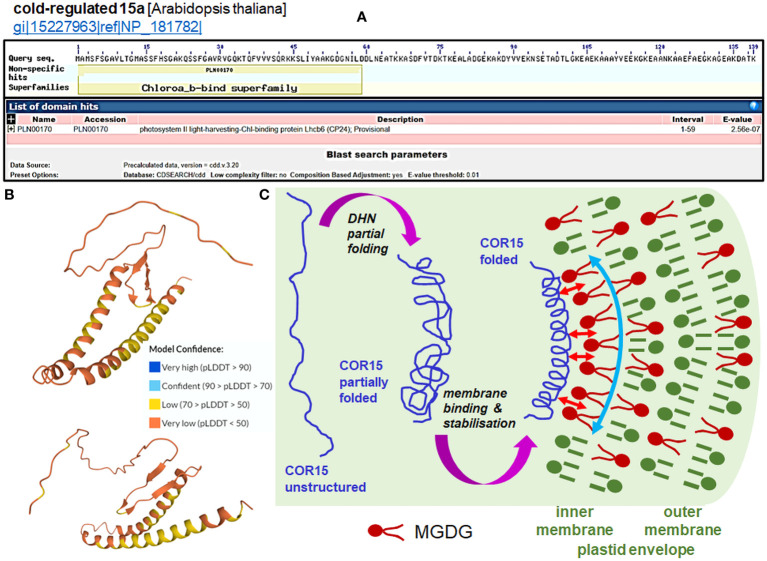 Figure 3