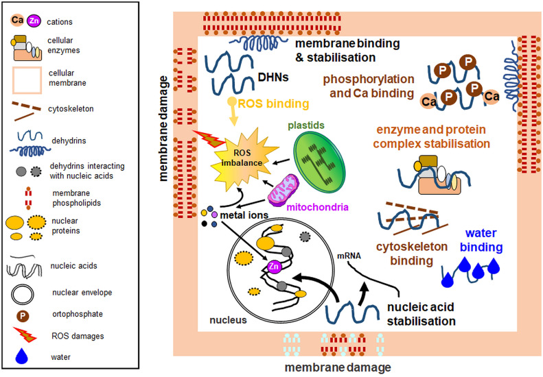 Figure 2