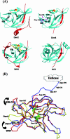 FIG. 2.