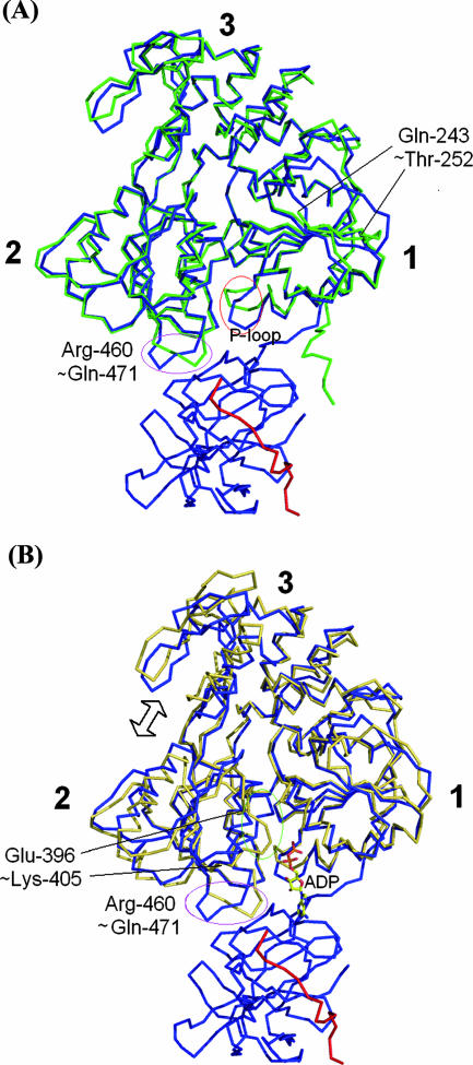 FIG. 3.