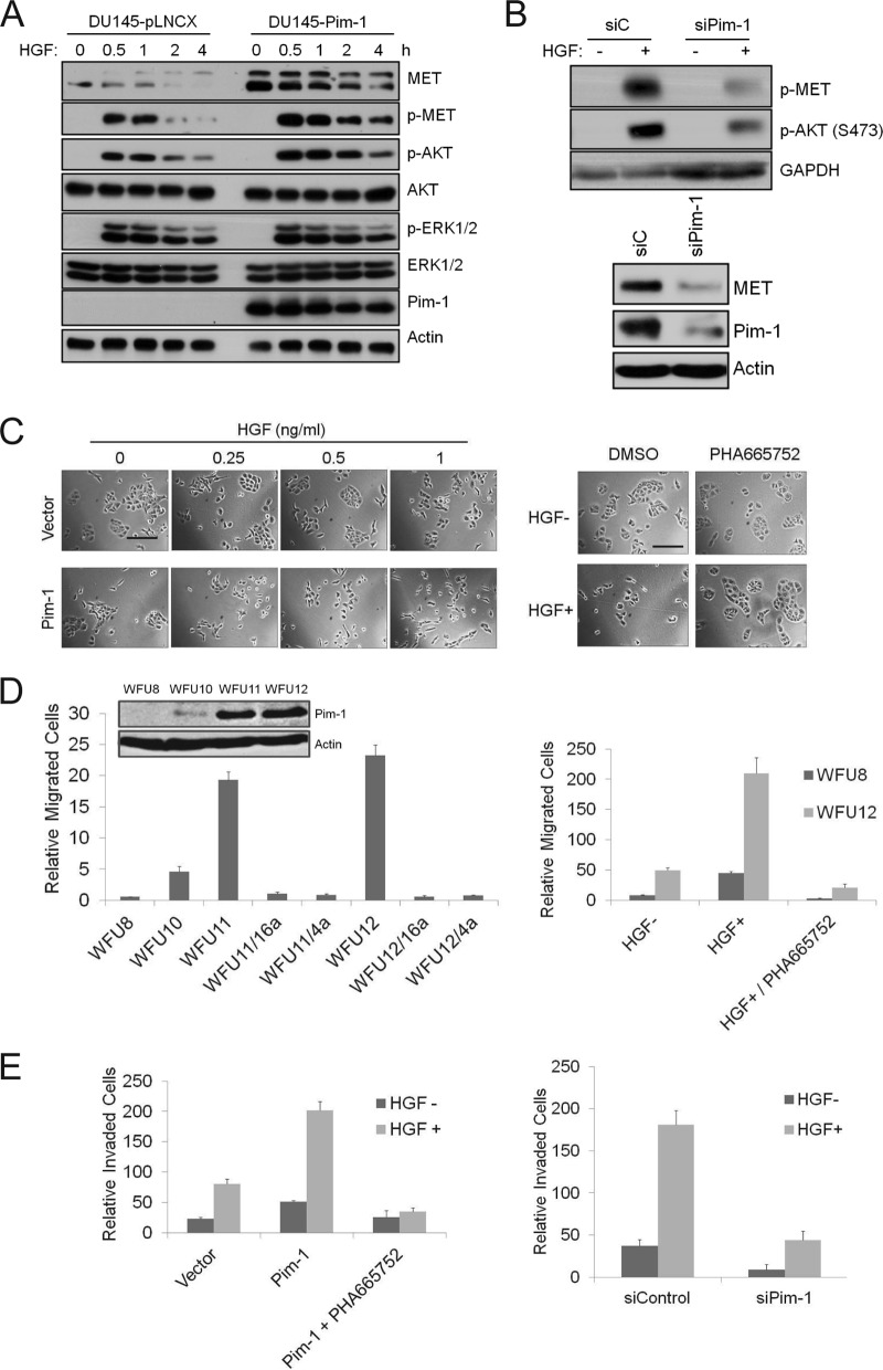 FIG 2