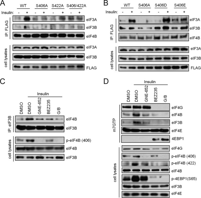 FIG 6