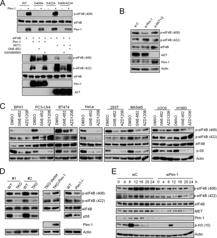 FIG 3