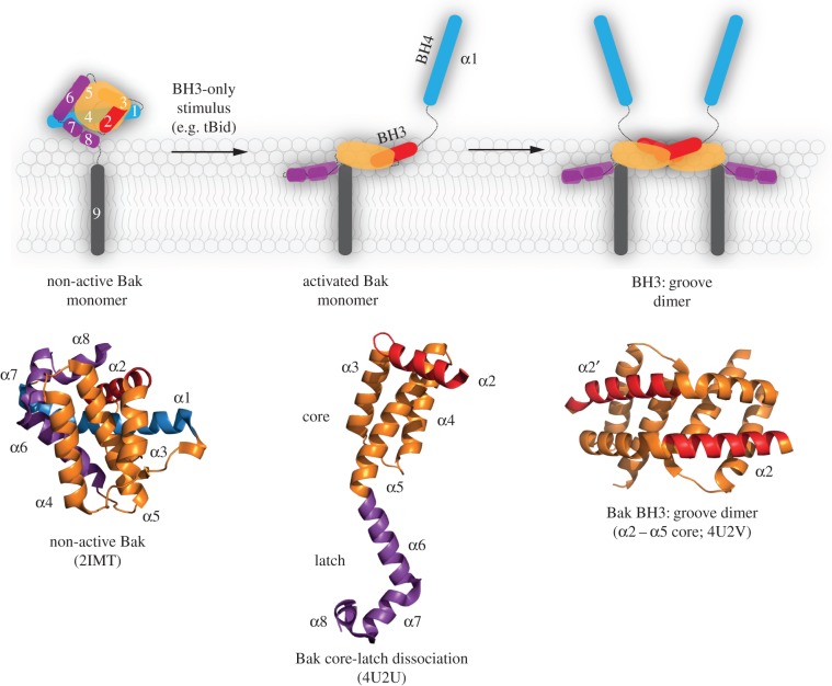 Figure 2.