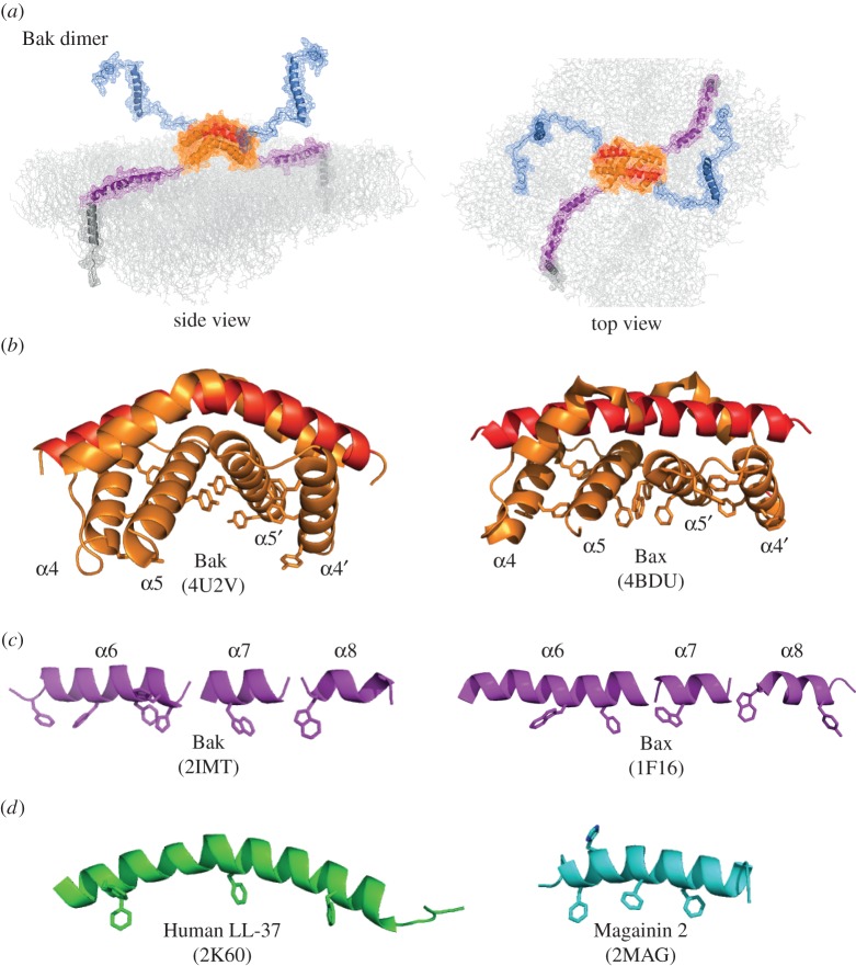 Figure 3.