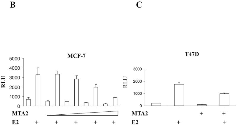 Fig.1