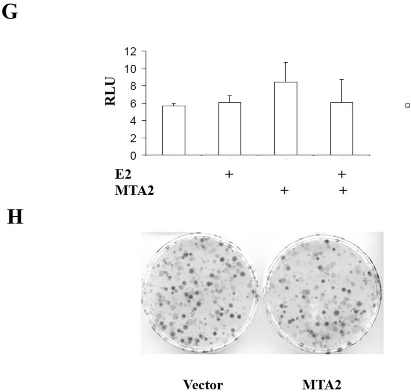 Fig.1