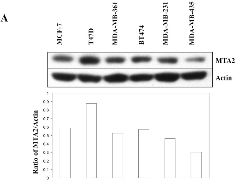 Fig.1