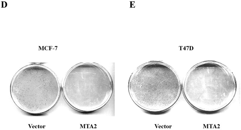 Fig.1