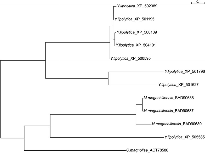 Fig. 1