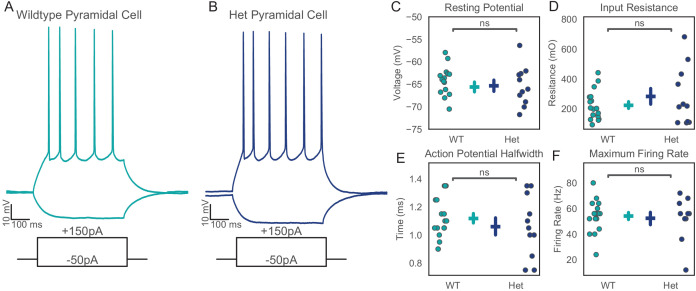 Figure 5—figure supplement 1.