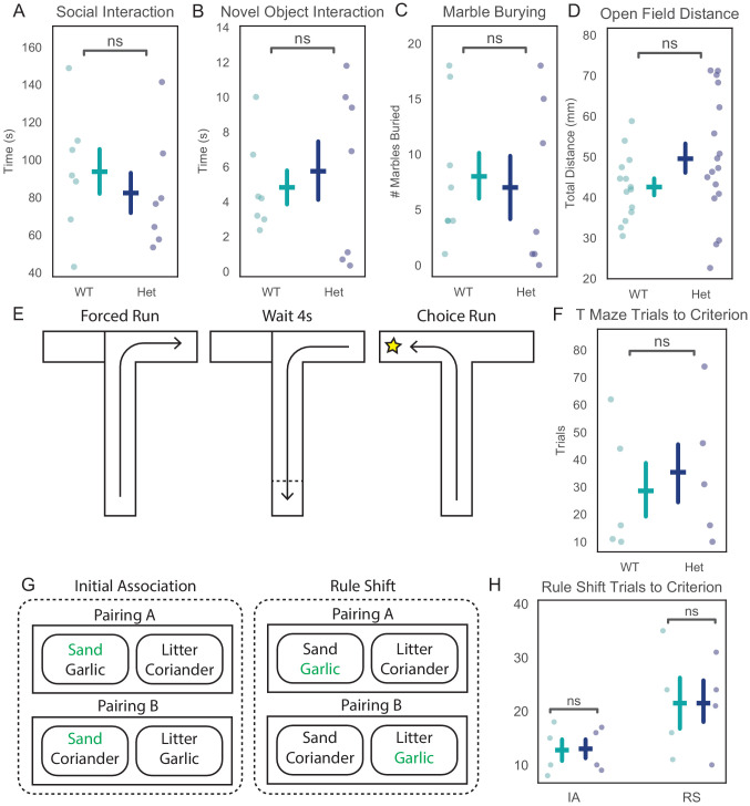 Figure 1—figure supplement 2.