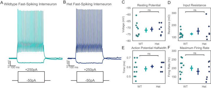 Figure 4—figure supplement 1.