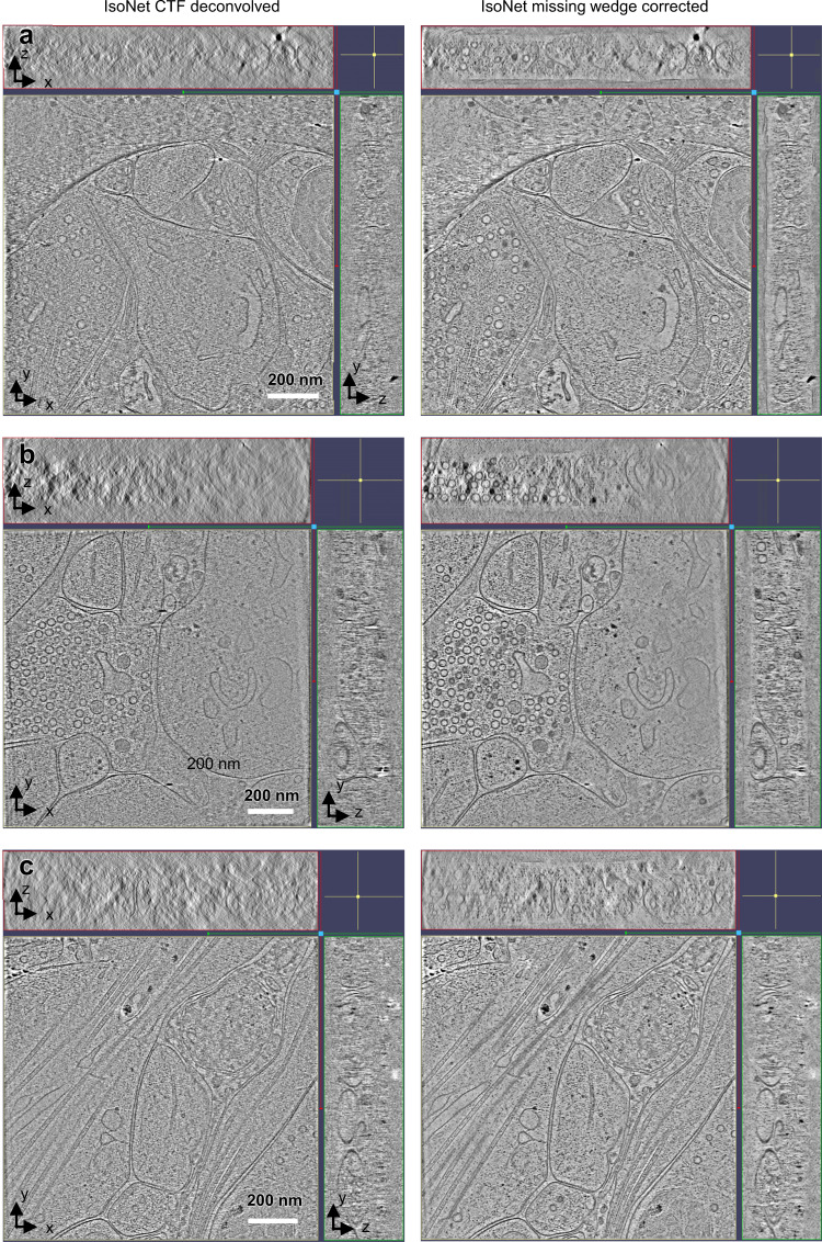 Fig. 7