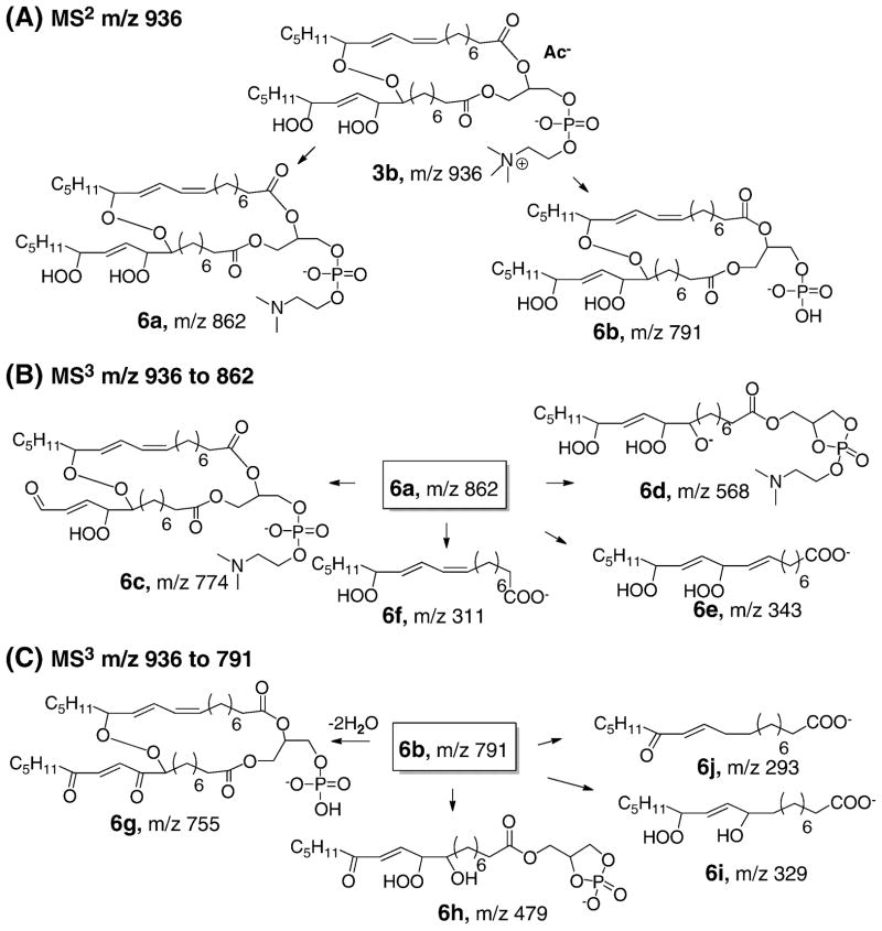 Fig 6