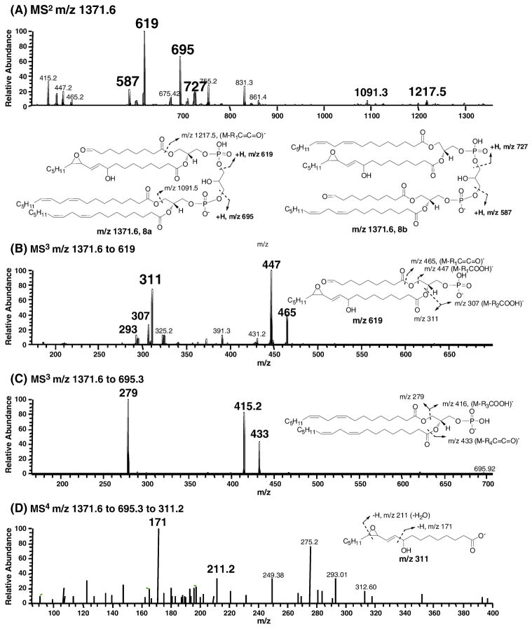 Fig. 8