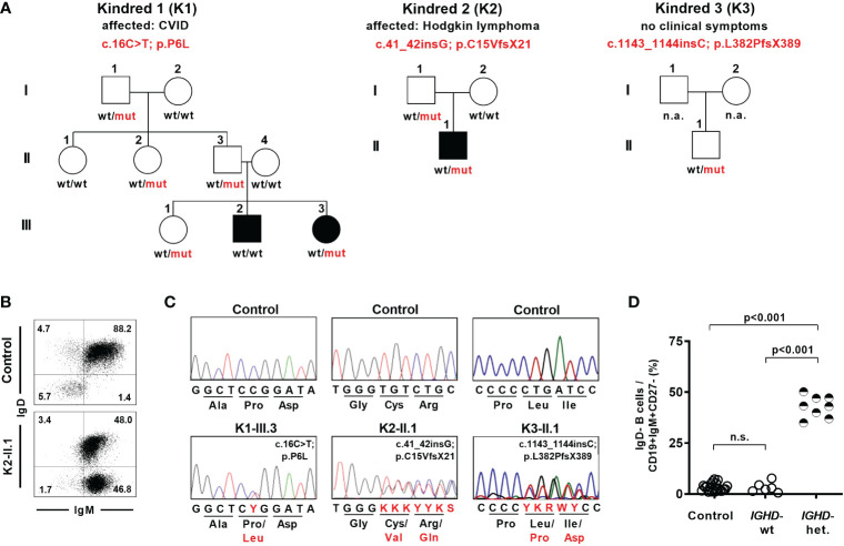 Figure 1