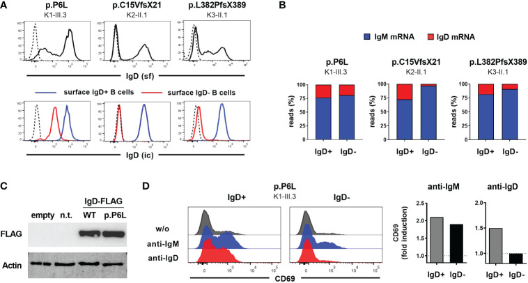 Figure 2