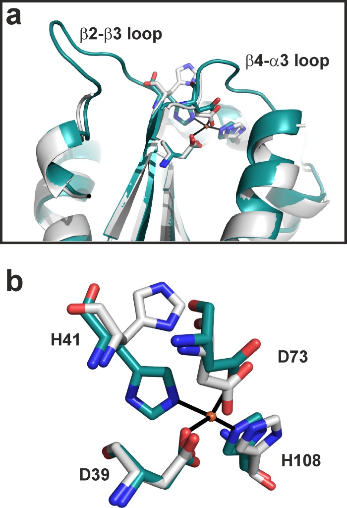 Fig 5