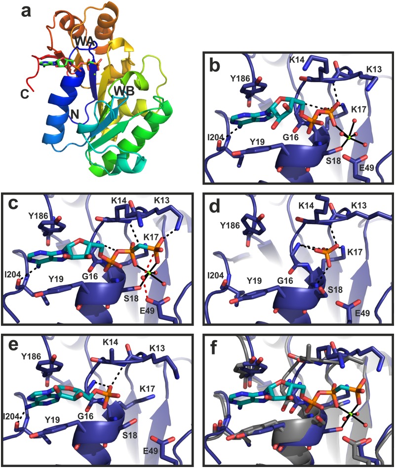 Fig 2