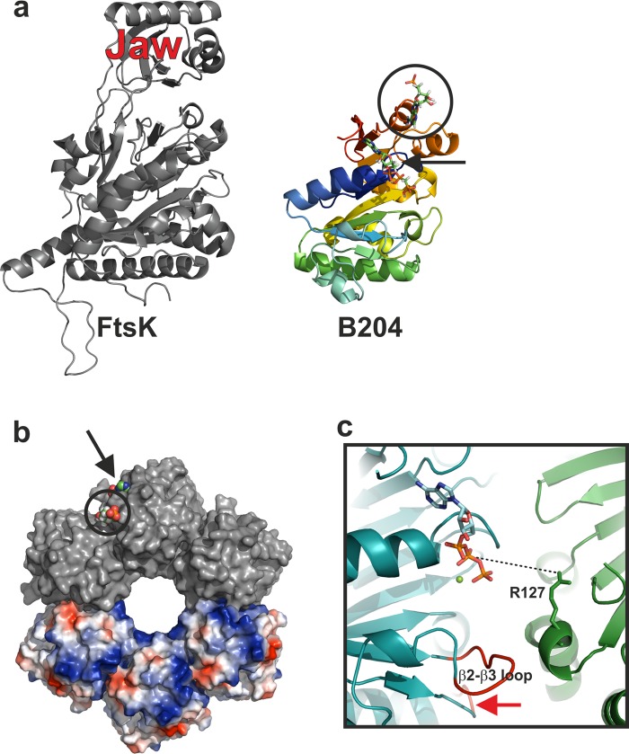 Fig 6