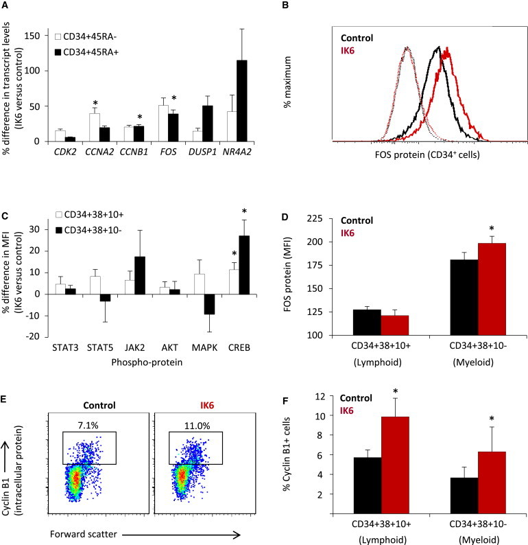 Figure 6