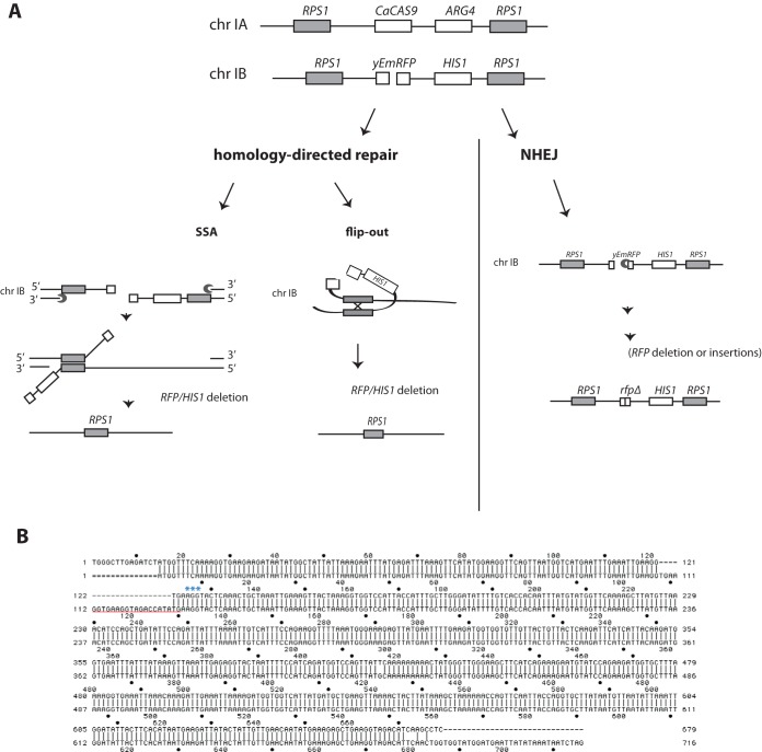 FIG 6 