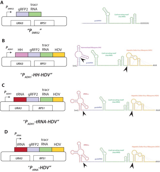 FIG 3 